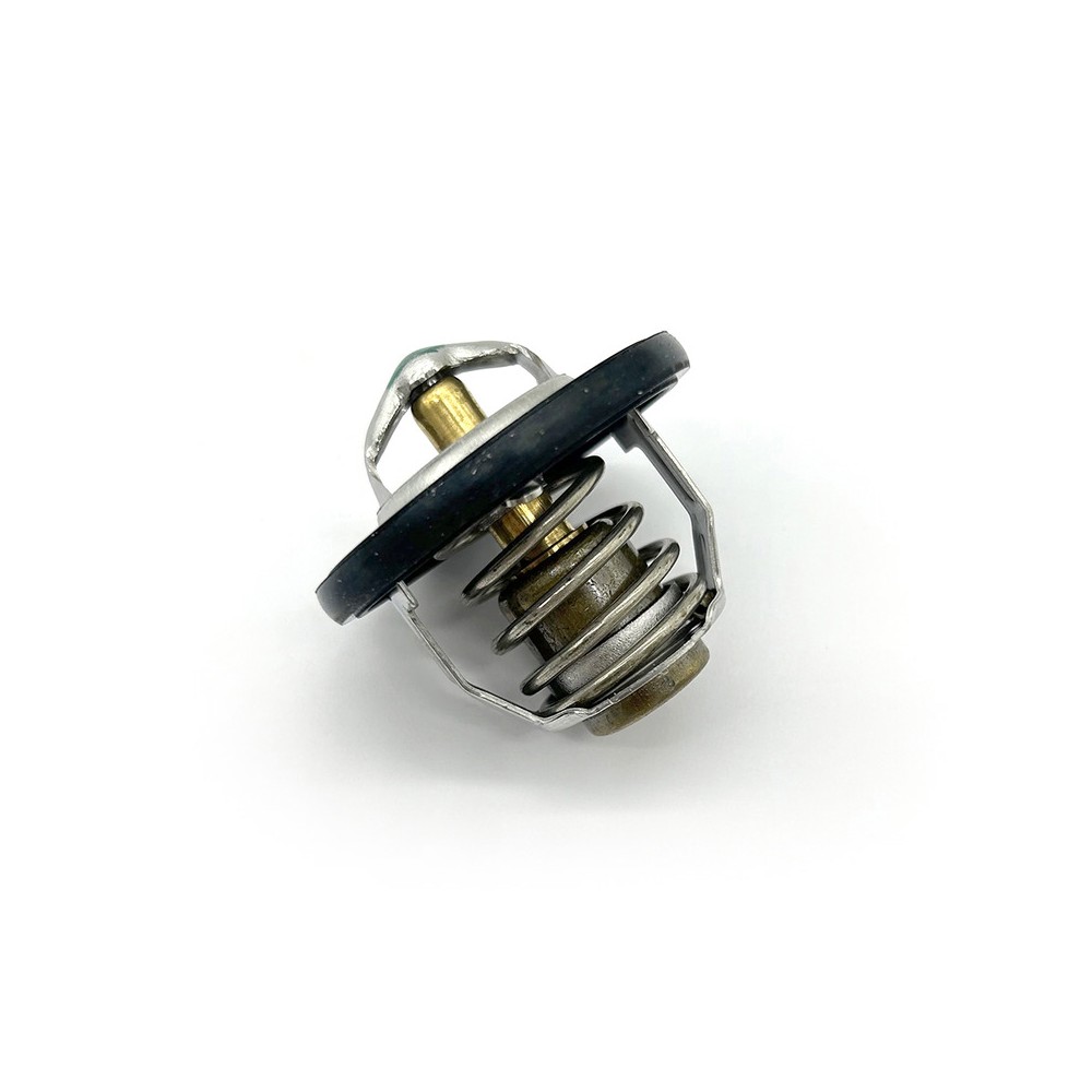 Thermostat Assy -