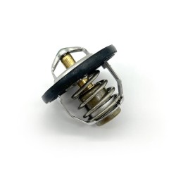 Thermostat Assy -