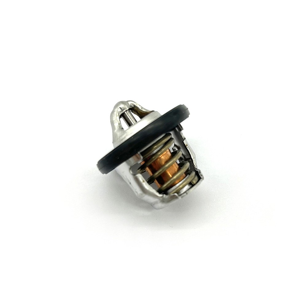 Thermostat Assy -