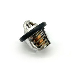 Thermostat Assy -