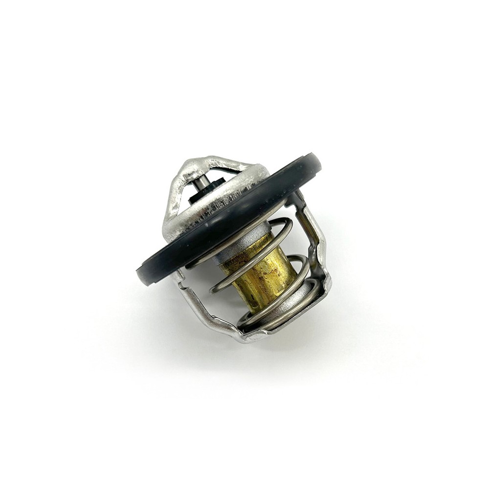 Thermostat Assy -