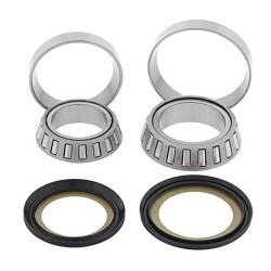 Steering Bearing Kit Yamahacygnus- Beluga- Xt 250/500 - WY-22-1008
