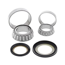 Steering Bearing Kit Honda DT50/125- Tdr 125/250 - WY-22-1025