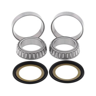 Kit Cuscinetti Sterzo Kawasakininja 600/750/1000- Z750/1000 per KAWASAKI Z900 17-18 e altri modelli Kit de revisión WRP