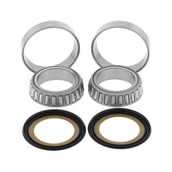 Kit Cuscinetti Sterzo Kawasakininja 600/750/1000- Z750/1000 per KAWASAKI Z900 17-18 e altri modelli Kit de revisión WRP