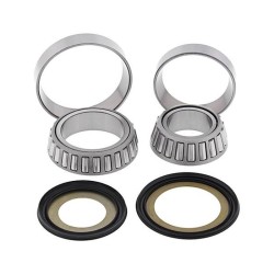 Kit Cuscinetti Sterzo Kawasakininja 600/900 per KAWASAKI ZX12R 00-01 e altri modelli Überholungssets WRP