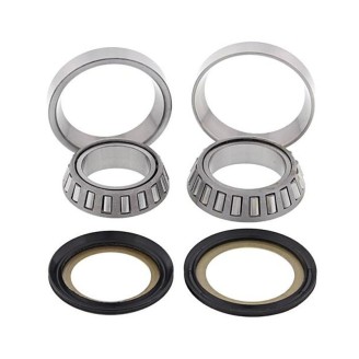 Steering Bearing Kit Suzukiklx 110- Dr-Z 110 - WY-22-1040