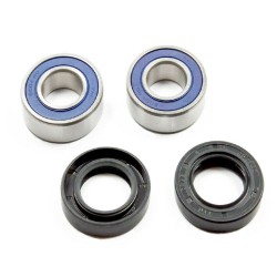 Wheel Bearing Kit Beta REV3125/250/270- EVO300 - WY-25-1070
