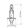 Ampoule RMS H1 12V 55W - Blanche Ampoules RMS