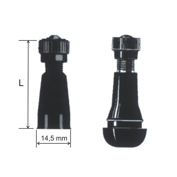 Valvola tubeless PAX diritta Ventile Pax Motive