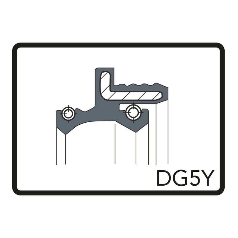 Kit Paraoli 30x39/43x12 DG5Y per PIAGGIO NRG Power 50 01-10 e altri modelli Paraoli ARIETE