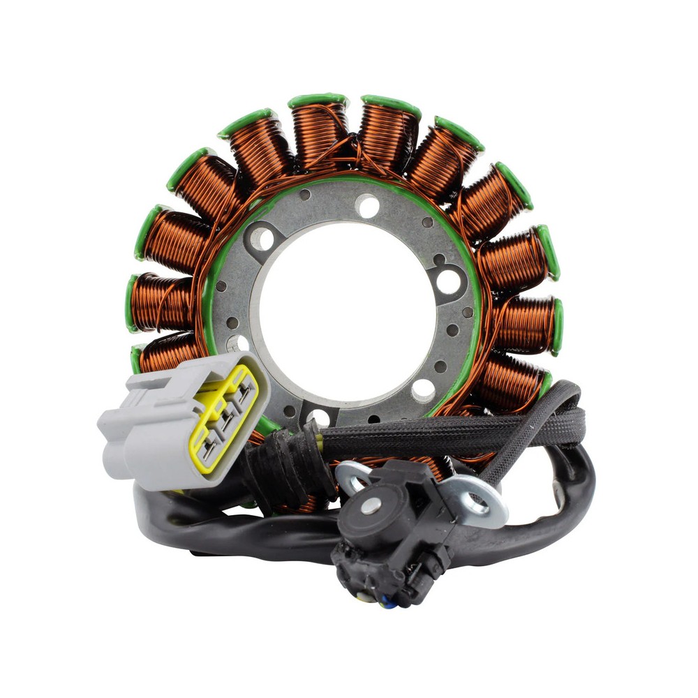 Stator Apriliaetv 1200 Caponord America 15 -