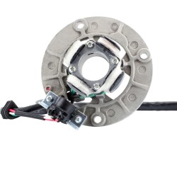 Stator Yamahayz 250 F 05-05 -