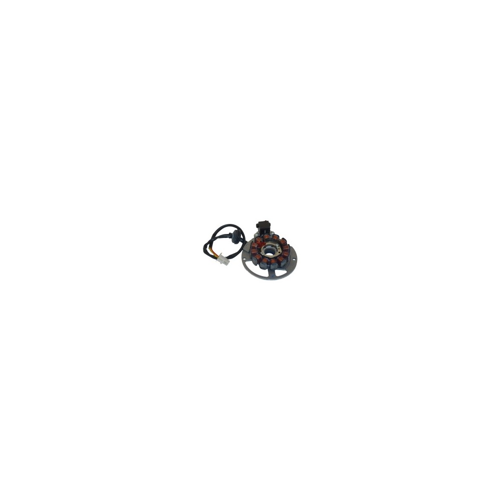 Stator Malaguti F12-F15-F10 EURO2/.3 02-04 -