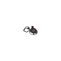 Stator Malaguti F12-F15-F10 EURO2/.3 02-04 -