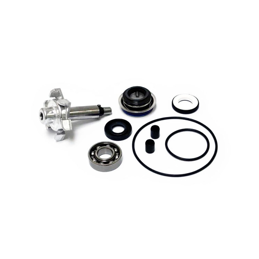 Water Pump Revision Kit Hondapcx 125/150 10- -