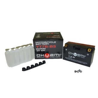 Okyami Battery OT7B-Bsw/Acid for MBK Skyliner 250 00-03 and other model Other Batteries OKYAMI