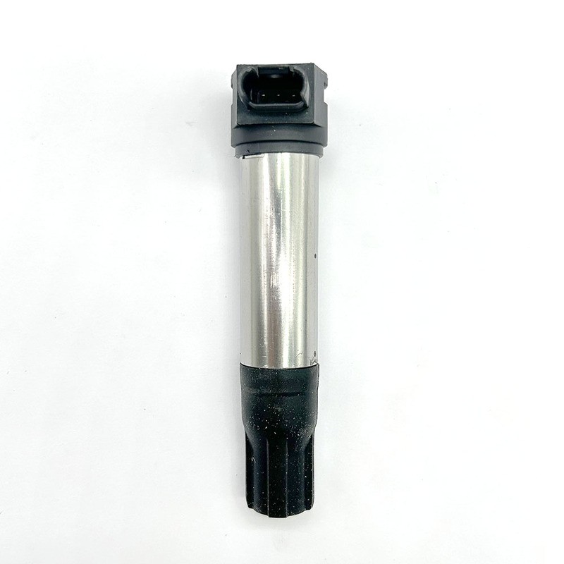 Bobina Beru Bmw R1200 GS04-13- R1150 Gs 99-06 per BMW R1200 GS 04-13 e altri modelli Bobinas Beru