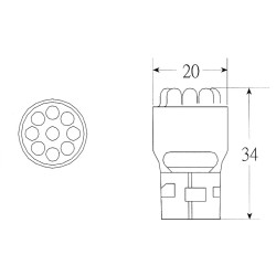 Blister 2 Led Bulb 12V T20 Light bulbs OKYAMI