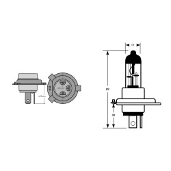Lampada HS1 12V 35/35W ALOGENAPX43T Lampadine TOPLIGHT
